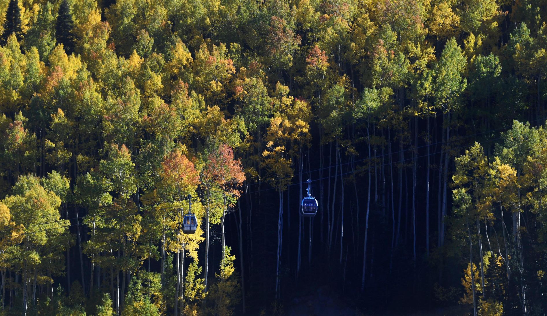 100619-news-aspens 60.JPG